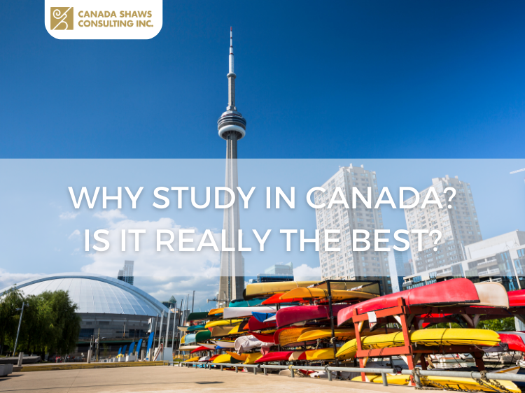 WHY STUDY IN CANADA IS IT REALLY THE BEST