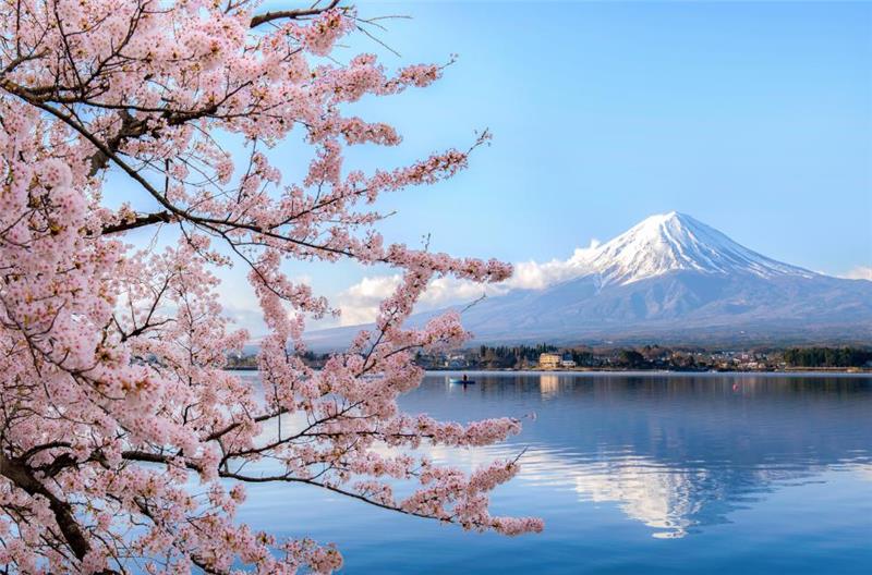 Japan’s Business Manager Visa offers entrepreneurs a route to residency by investing in or managing a local business. A minimum investment of five million JPY is generally required, or hiring two full-time employees. While no Japanese language proficiency is officially mandated, having (or hiring staff with) language skills is highly beneficial. The visa can extend to family members immediately, though sustaining regular operations can be costly. Permanent residency typically requires 10 years of continuous residence, a clean record, stable income, and good tax standing. Special provisions may shorten this residency period (e.g., to 3 years for highly skilled professionals).