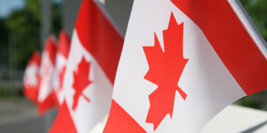 A row of Canadian flags waving outdoors, symbolizing growth, innovation, and business opportunities for entrepreneurs running a business after PR approval in Canada.