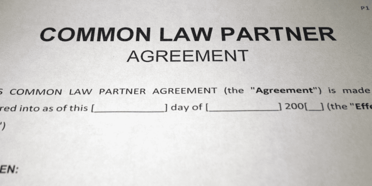 document showing common law partner agreement outlining common law partner rights