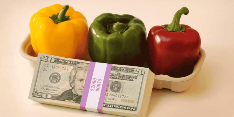 cost of groceries