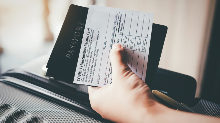 PR Travel Document for Canada vs PR Card Renewal Guide